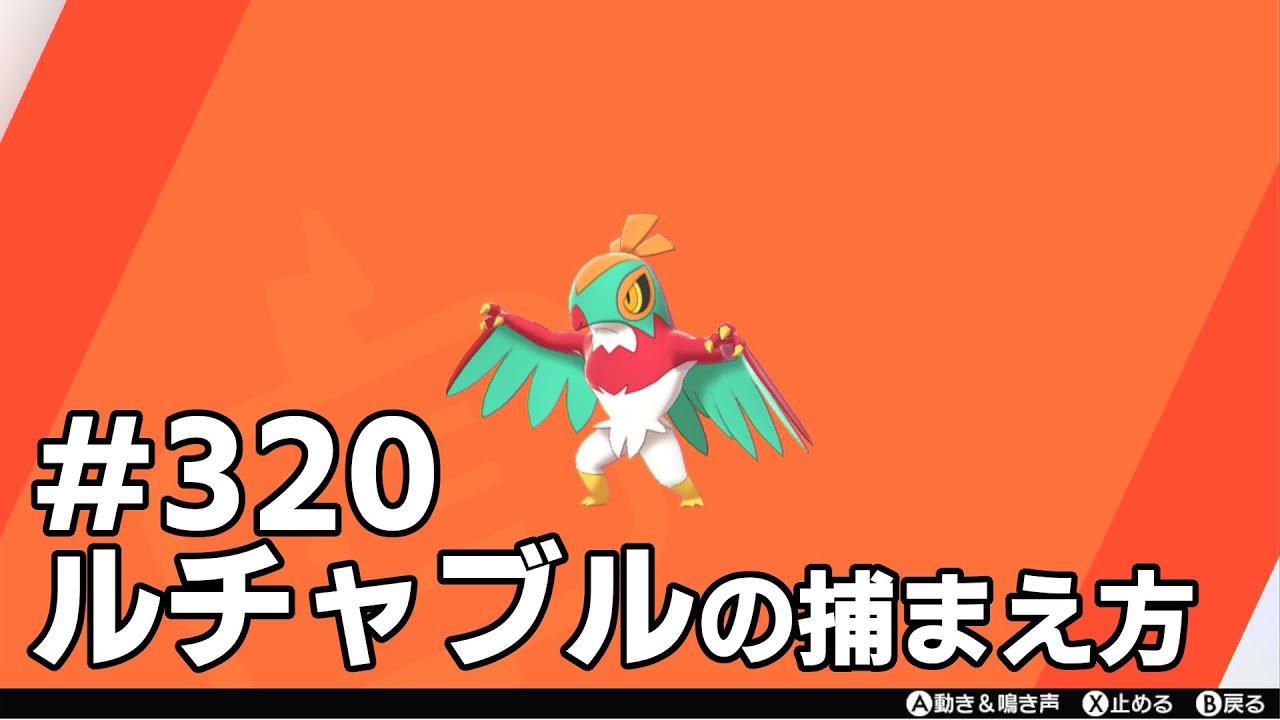 ルチャブルを探している方に見てほしい動画