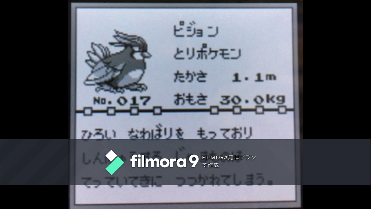 【図鑑NO017】ピジョン　鳴き声