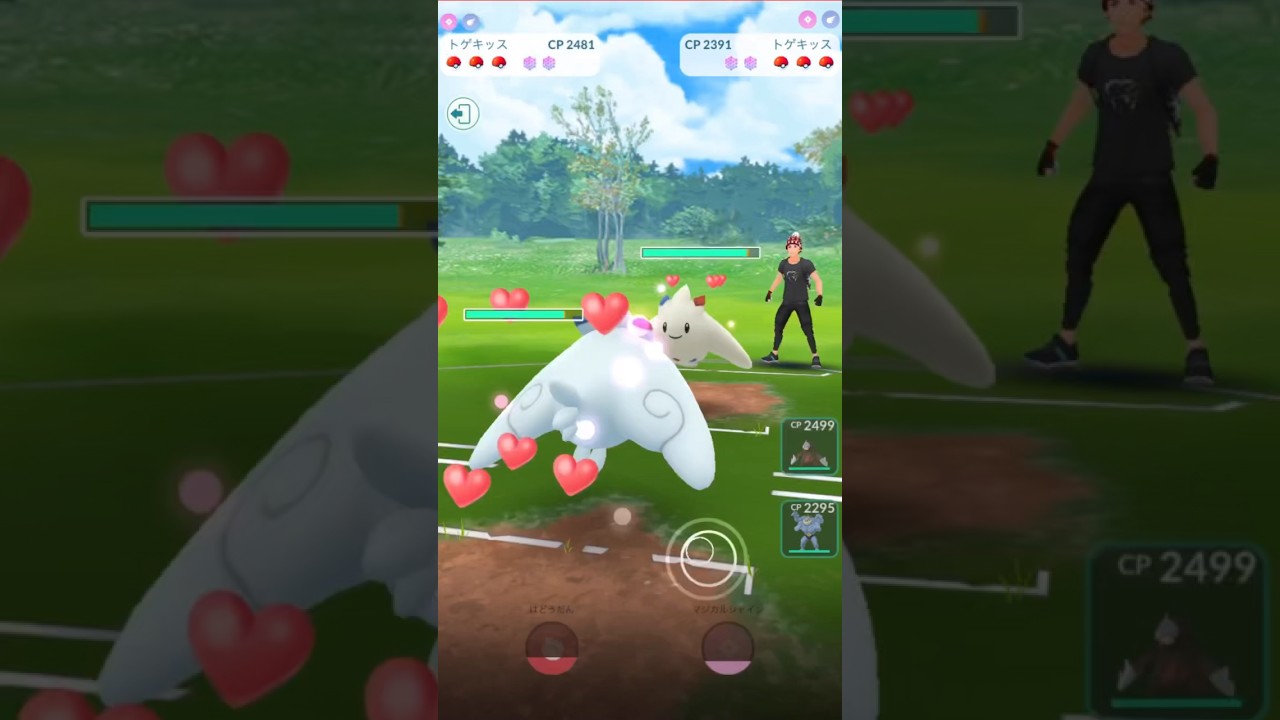 『トゲキッス』が１分間ひたすら甘えるだけの動画  #GOバトルリーグ #ハイパーリーグ #ポケモンGO #pokemonGO #GBL #攻撃力