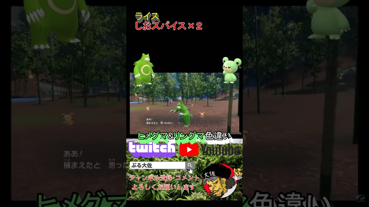 【ポケモンSV】色違い厳選レシピ！ヒメグマ&リングマ色違い！