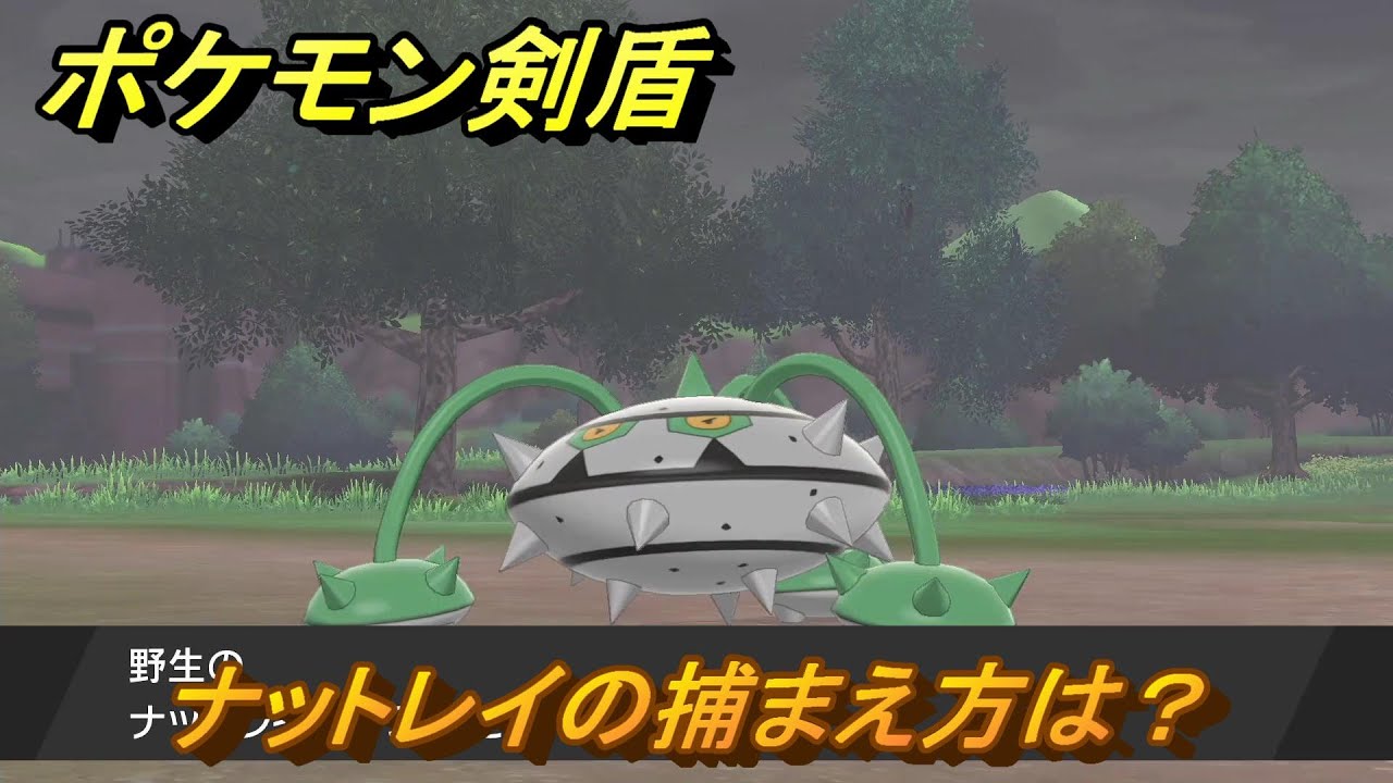 ポケモン剣盾　ナットレイの出現場所は？オススメの場所は？天気は？ポケモン図鑑コンプへの道！　最新版【ポケモンソード・シールド】