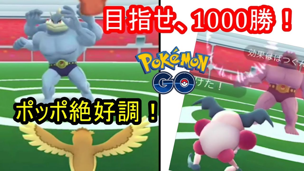 ついにポッポの実力を！（ポケモンGO）