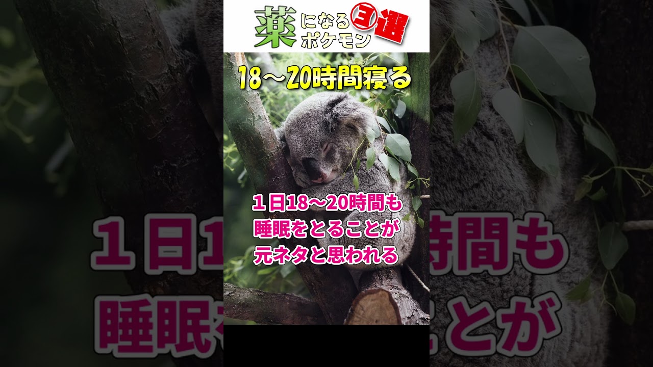 薬に使用されるポケモン3選！ #ポケモン解剖学 #ポケモンSV #ポケモン #shorts  #アママイコ   #ネッコアラ　#ガバイト  #pokemon #小ネタ #ポケモン小ネタ集