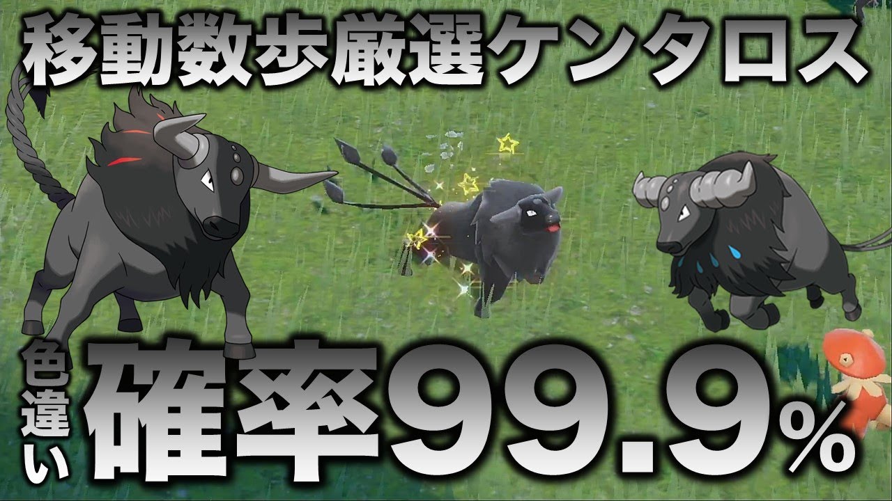 【移動数歩!!色違い厳選】ケンタロス編!!【ポケモンSV/スカーレット・バイオレット】