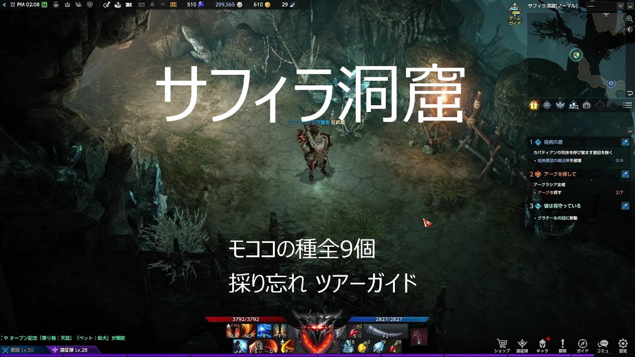 サフィラ洞窟 モココの種全9個 採り忘れ ツアーガイド #ロストアーク #LostArk