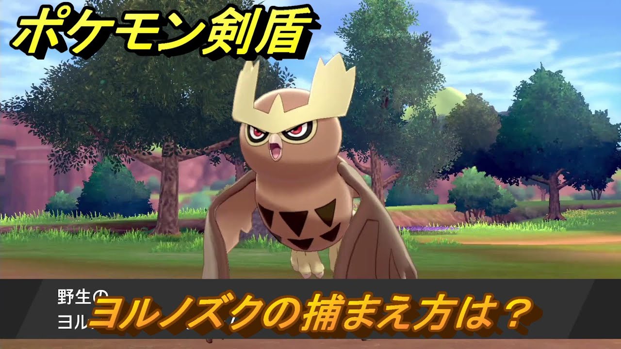 ポケモン剣盾　ヨルノズクの出現場所は？オススメの場所は？天気は？ポケモン図鑑コンプへの道！　最新版【ポケモンソード・シールド】