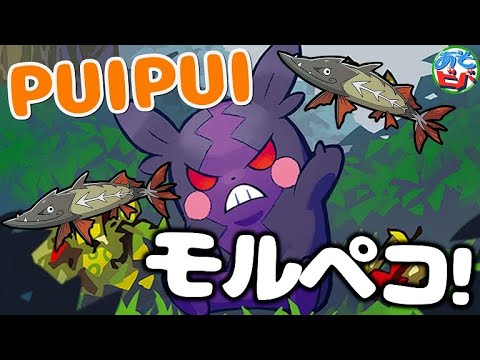 【ポケカー】PUIPUI モルペコ 第1話 「手札を減らしてねらってくしざす！」【対戦】