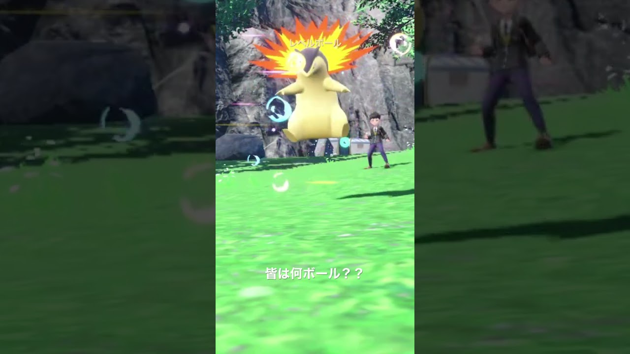 バクフーンはこのボール #shorts #ポケモン #ポケモンsv