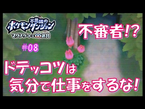 ポケモン不思議のダンジョン マグナゲートと∞迷宮【実況】08「不審者が出没！？シキサイの森で花に惑わされる」