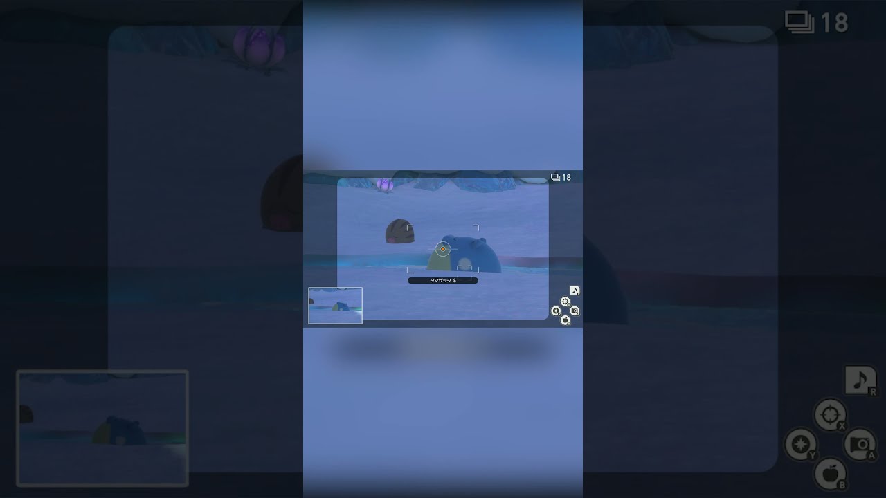 【Newポケモンスナップ NEW POKÉMON SNAP】回って流れるタマザラシ #shorts
