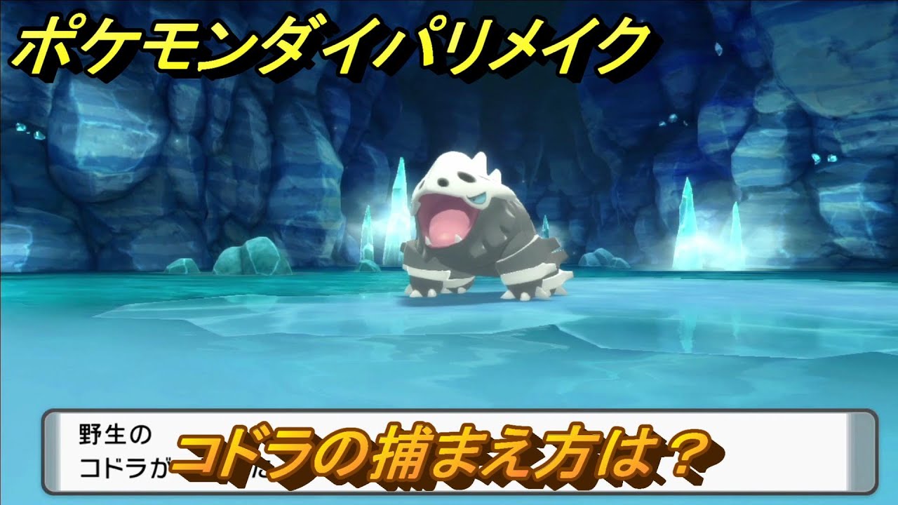 ポケモンダイパリメイク　コドラの捕まえ方は？出現場所は？　最新版【ブリリアントダイヤモンド・シャイニングパール】