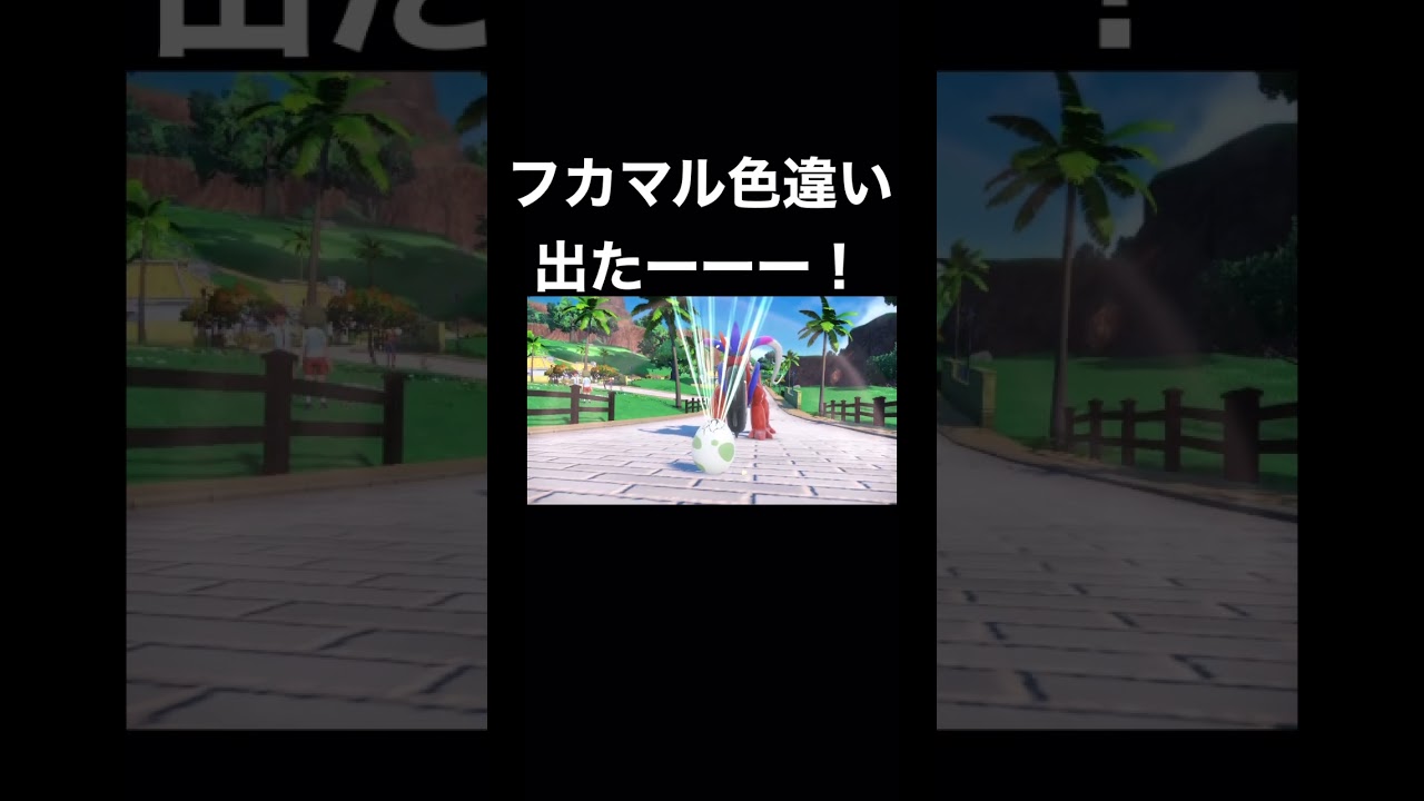 【ポケモンSV】5Vメタモン×フカマル(海外産)で色違いフカマル