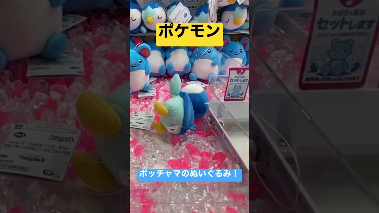 ポケモンのぬいぐるみ！ポッチャマを獲る！#shorts #ポケモン #ポッチャマ #クレーンゲーム