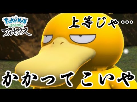 決闘中に罠にかかって撃沈するコダック先輩【ポケモンアルセウス】 #Shorts