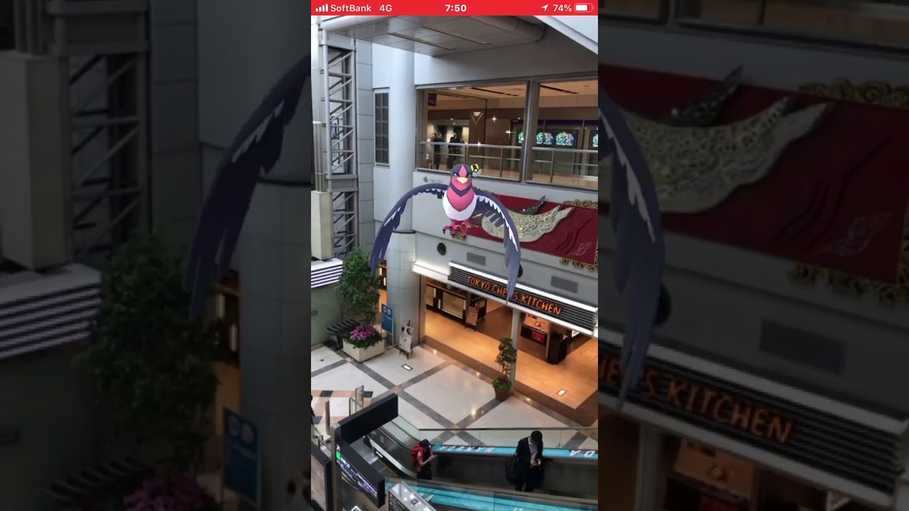 ポケモンGO AR  羽田空港  オオスバメ