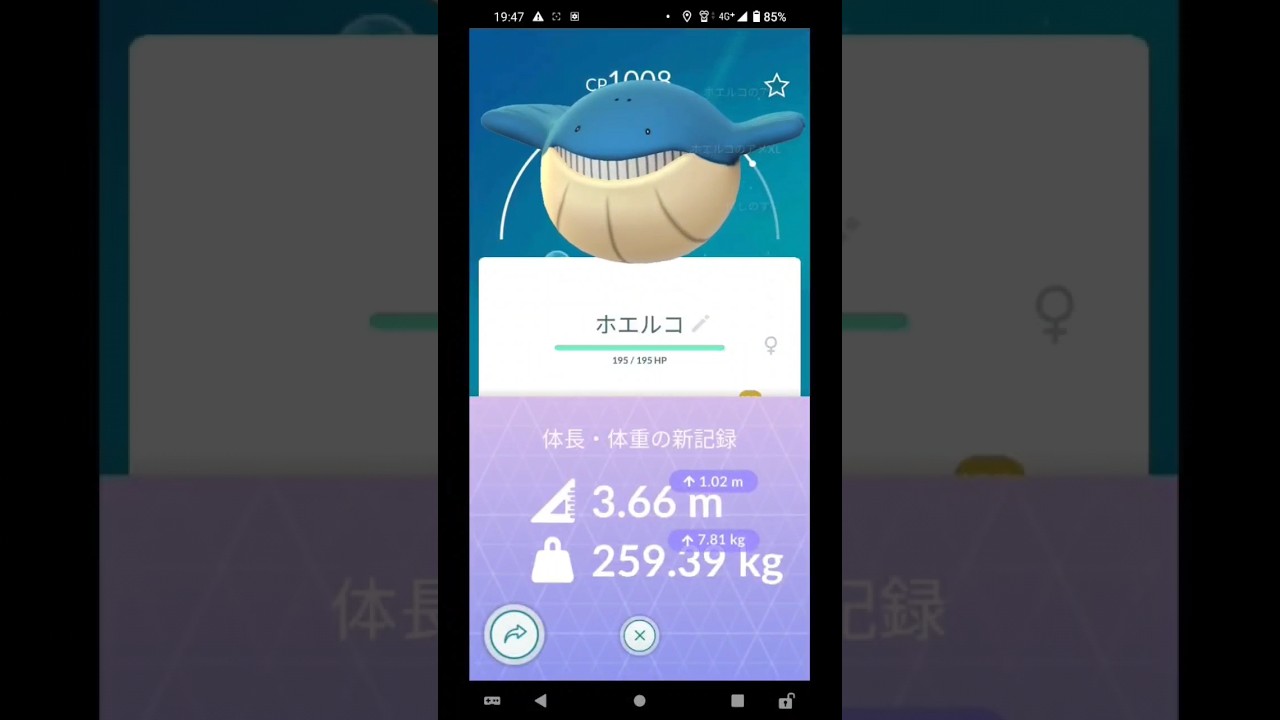 【最大？】ホエルコ進化させてみた！ #ポケモンgo #pokémongo #shorts