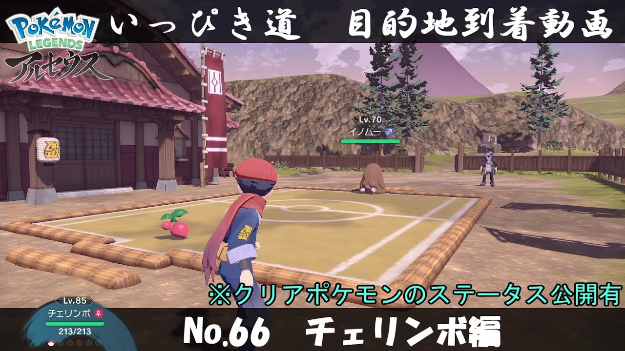【いっぴき道攻略】No.66 チェリンボ編【Pokémon LEGENDS アルセウス】