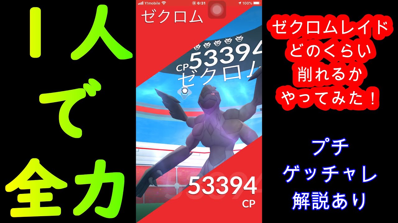 【ポケモンGO】ゼクロムレイド　一人で全力やってみた！