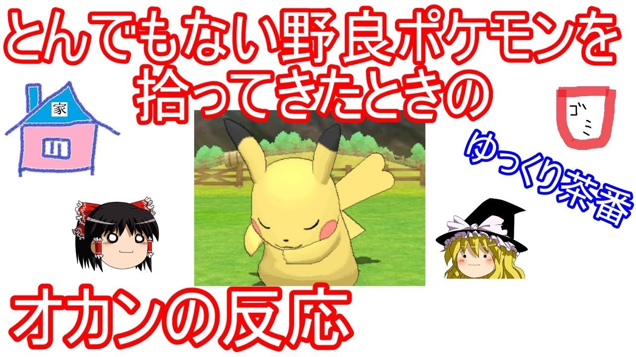 とんでもない野良ポケモンを拾ってきたときのオカンの反応【ゆっくり茶番】