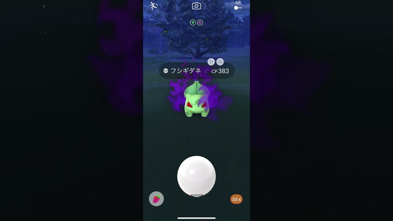 【ポケモンGO】色違いshadowフシギダネ✨✨