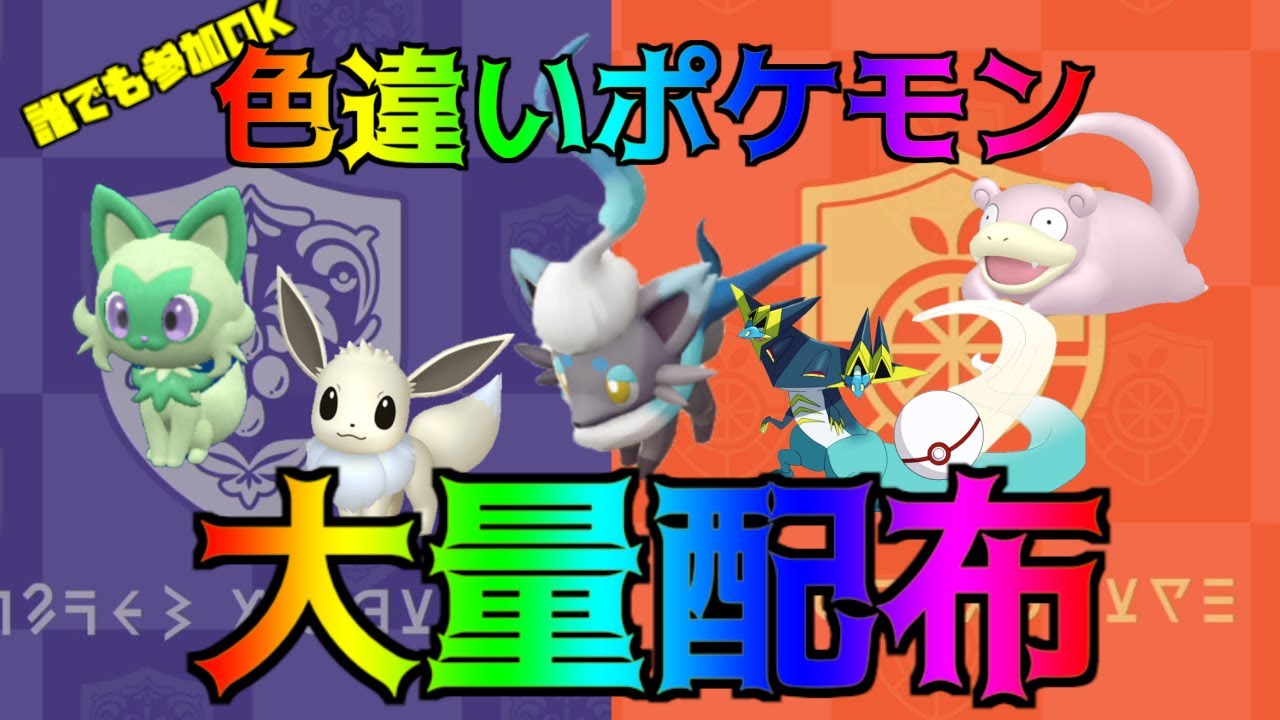 色違いポケモン配布会 ヒスイゾロア,ケロマツ,ニャオハ条件で配布