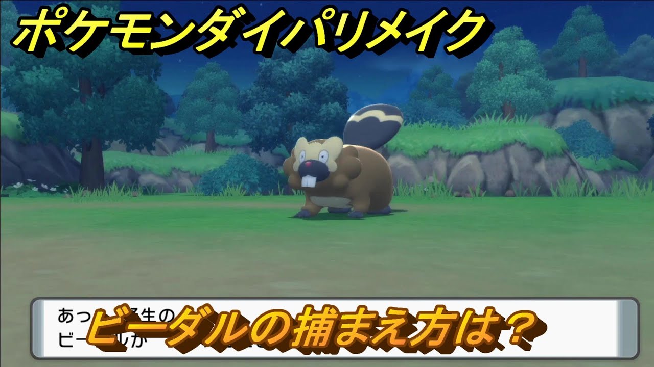 ポケモンダイパリメイク　ビーダルの捕まえ方は？出現場所は？　最新版【ブリリアントダイヤモンド・シャイニングパール】