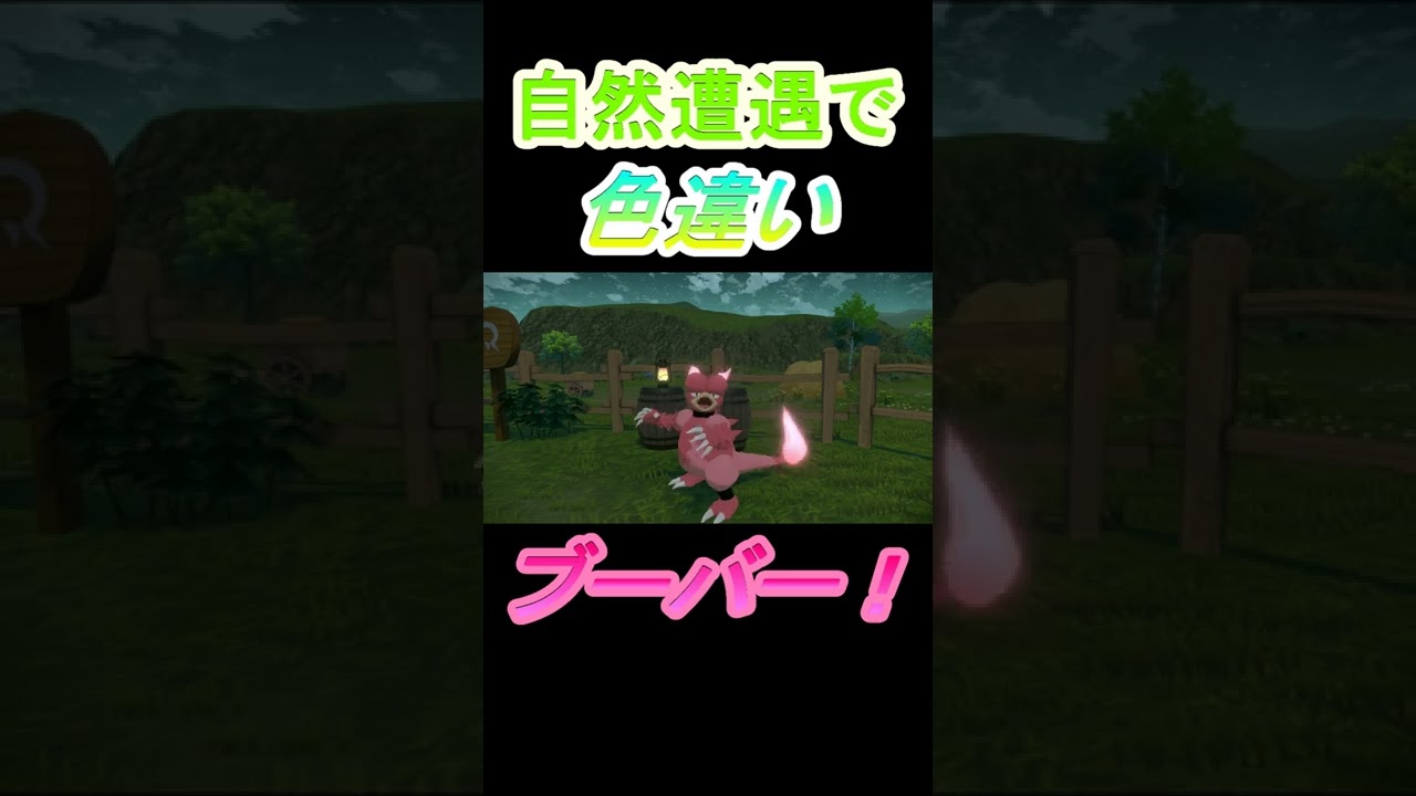 【桜色の炎纏う色違い】自然遭遇で色違いブーバー現る！その後大大大発生で色違い７７７７　#Short【ポケモンレジェンズアルセウス】【Pokémon LEGENDSアルセウス】【Shiny Buber】