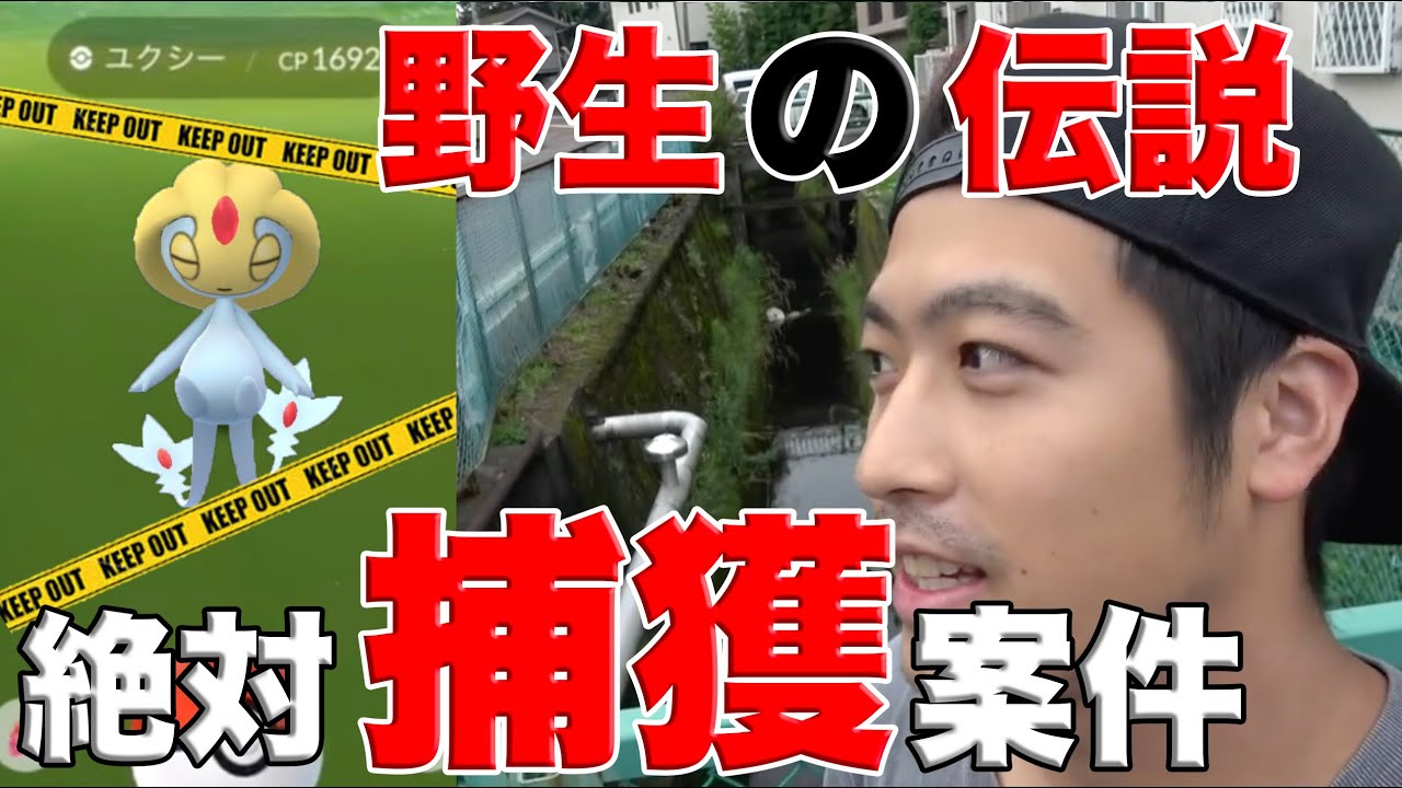 【ポケモンGO】ゆる活のつもりが野生でまさかのユクシー出現！？記念にモンスターボールで捕まえようとした結果...【激レア】