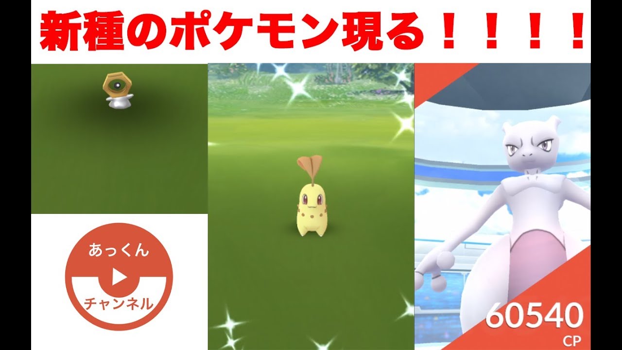 チコリータコミュニティデイ！さらに新種のポケモン現る！！