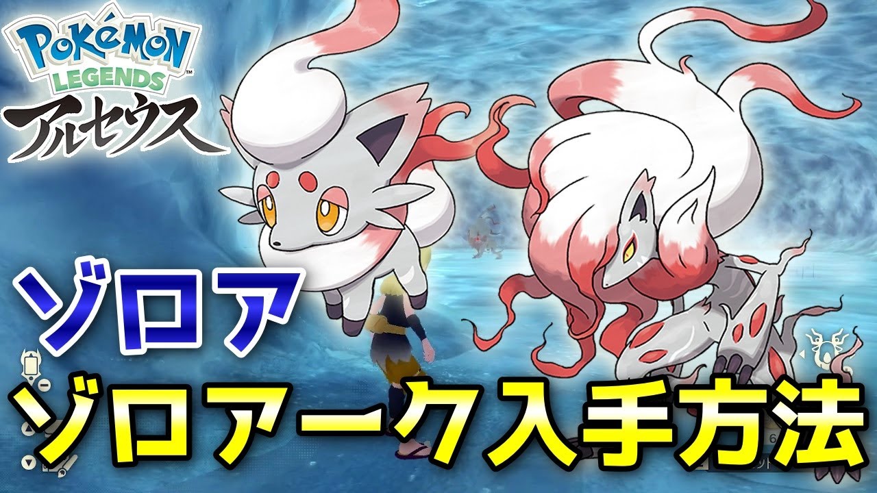 【アルセウス】ゾロアーク・ゾロア入手方法！進化条件も解説します【ポケモン レジェンズ】