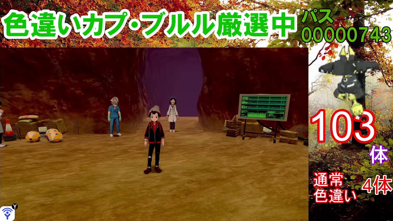 剣盾の忘れ物。カプ・ブルル色違い以外の色違いが出たら即配布！カプ・ブルル色厳選【ダイマックスアドベンチャー】【ポケモン剣盾】