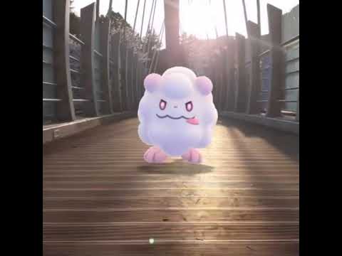 나룸퍼프 ( Swirlix ) ペロッパフ ( 綿綿泡芙 )