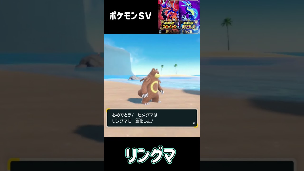ポケモンＳＶ　ヒメグマ進化　リングマ