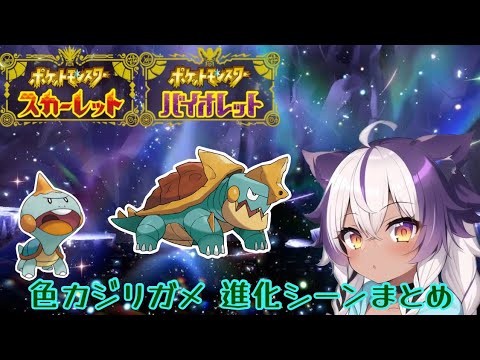 【ポケモンSV】色違いカムカメ → カジリガメ【ポケットモンスタースカーレットヴァイオレット】