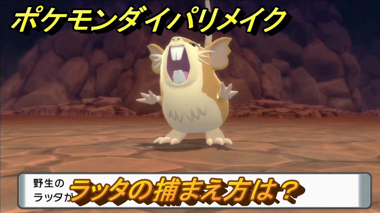 ポケモンダイパリメイク　ラッタの捕まえ方は？出現場所は？　最新版【ブリリアントダイヤモンド・シャイニングパール】