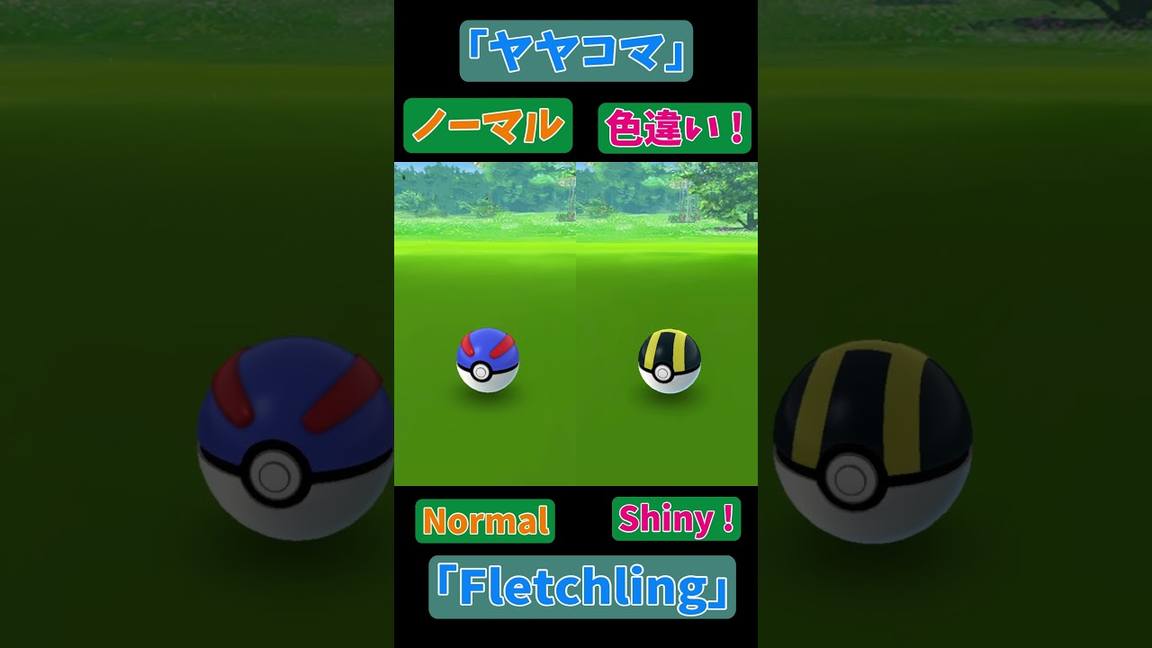 ヤヤコマ 色違いゲット(Fletchling Shiny)【Pokémon GO】 #Shorts