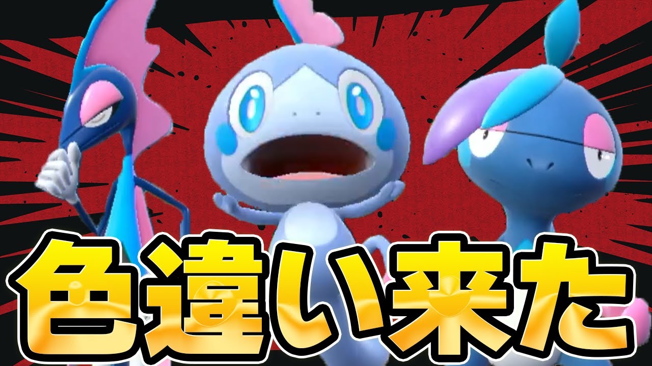 大好きな色違いメッソンをドリボで出した男【ポケモンSV】