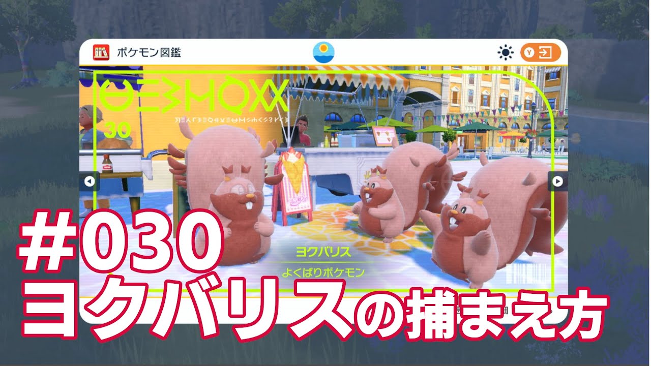 ヨクバリスを探している方に見てほしい動画