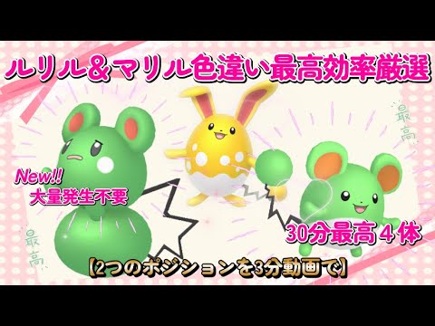色違いルリル最高効率厳選3分動画マリル＆マリルリも #ポケモンsv #ルリル #マリル #マリルリ #色違い #最高効率 #大量発生不要