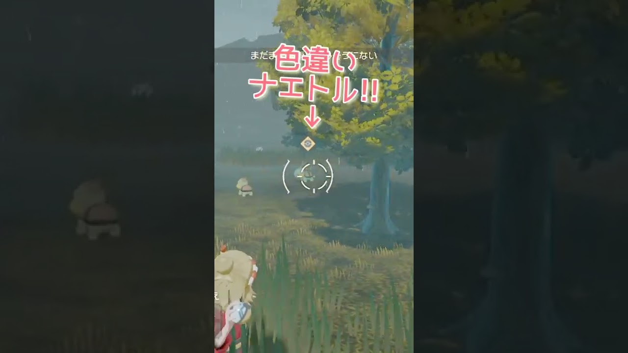 大大大発生で色違いナエトル【#アルセウス】