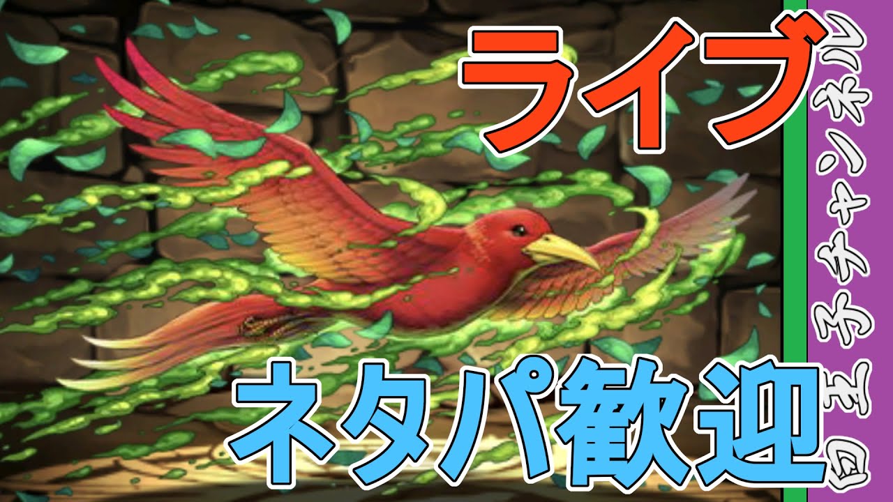 【パズドラ】闘技場でピィを集めたい。 by白王子 2023/4/30