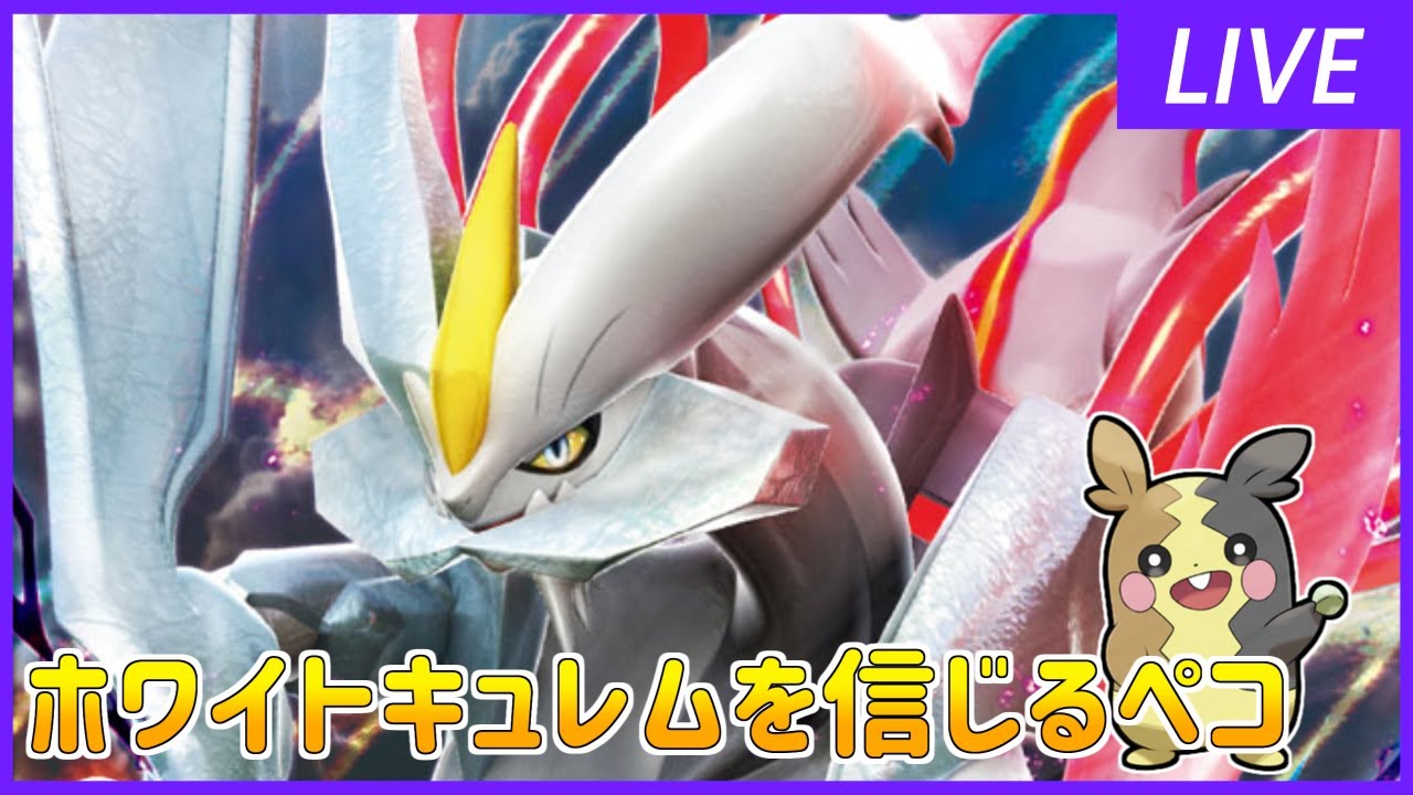 【ポケモン剣盾】ホワイトキュレムを信じるペコ