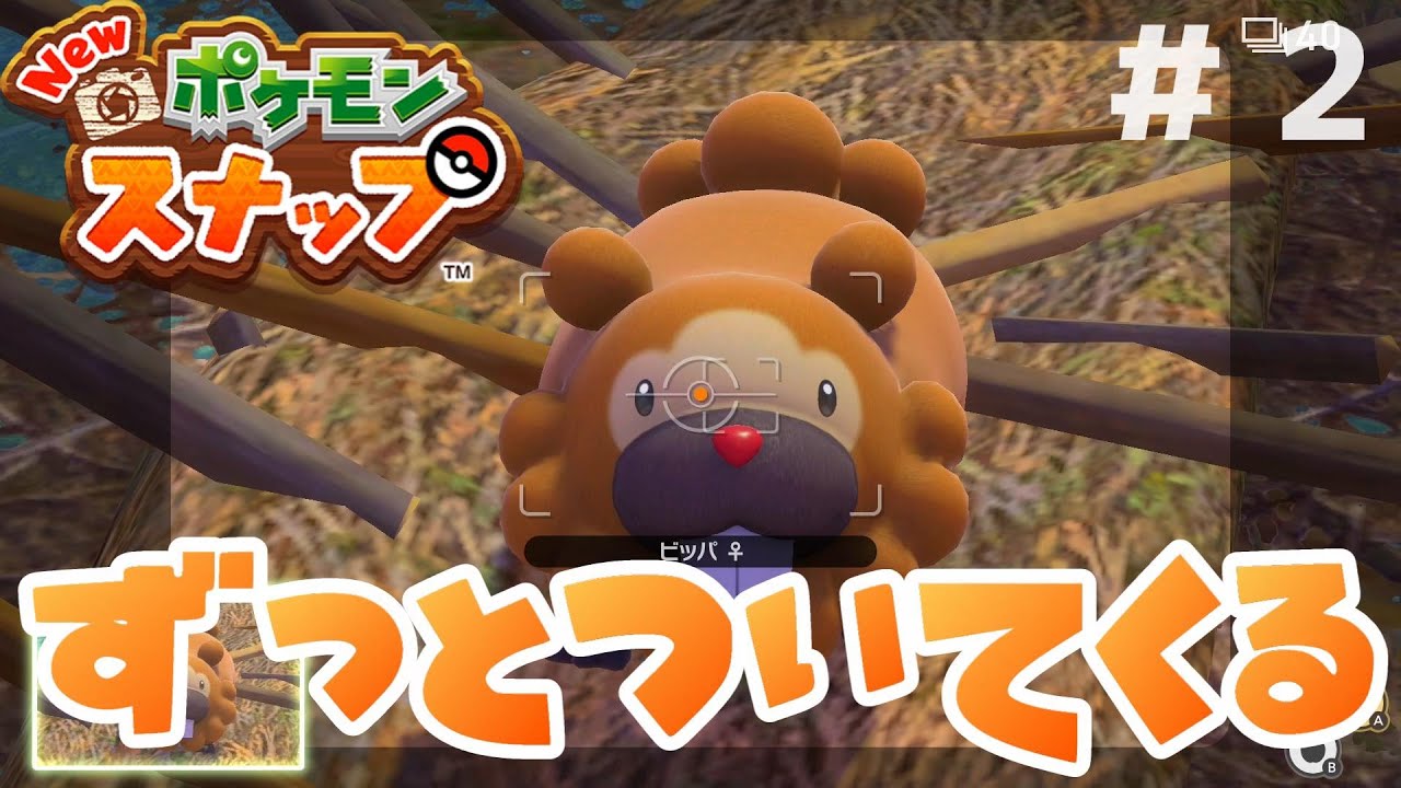 【＃２】ずっとついてくる史上最高にカワイイビッパなのですが！！！【New ポケモンスナップ】