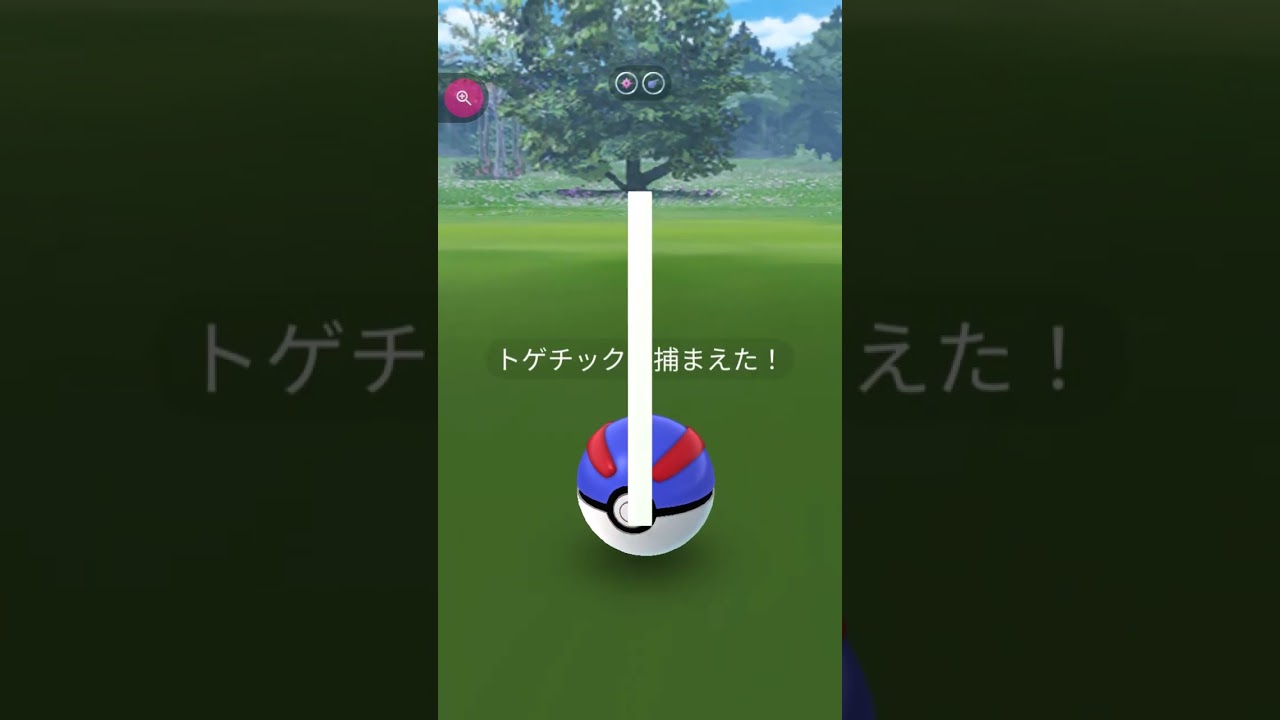 #shorts◇野生のトゲチック　・・しあわせポケモン？へぇ～知らんかった！ちなみにトゲピーは【はりたま ポケモン】トゲキッスは【しゅくふくポケモン】でした#434
