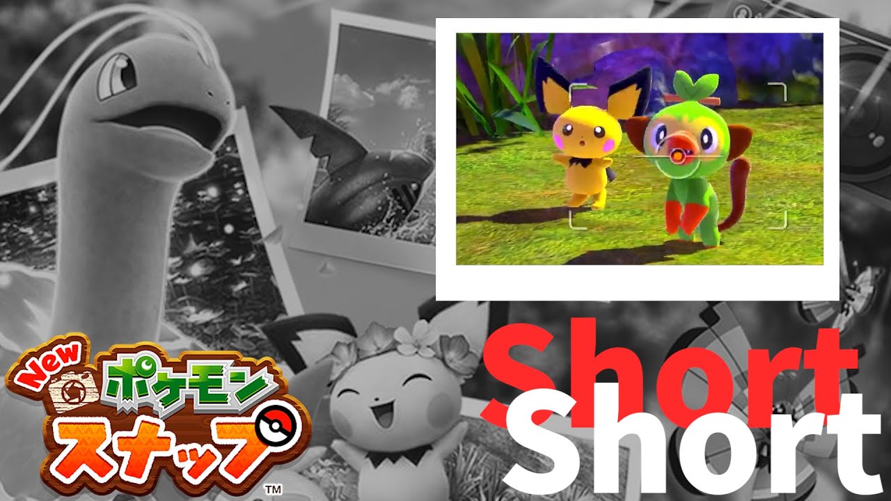 ピチューが可愛すぎてサルノリの扱いが雑『0から始めるポケモン生体調査 #01 より』【Shorts1】