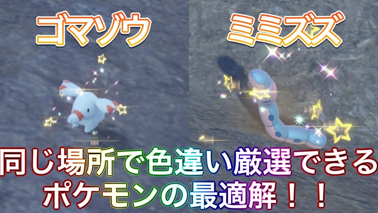 【超簡単】ゴマゾウの色違いを見逃さない＆ミミズズを潜らせず厳選できる場所を教えます！【ポケモンSV】