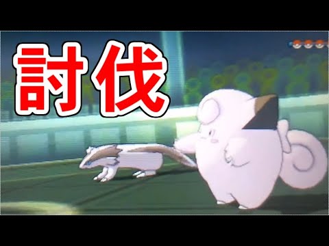 腹太鼓+神速マッスグマを倒そう！！【ポケモンUSUM/ウルトラサン・ウルトラムーン】