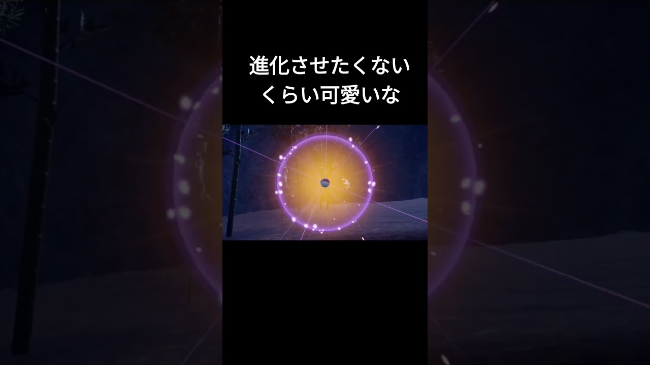 色違いヒメグマをラブラブボールでゲット!【ポケモンＳＶ】