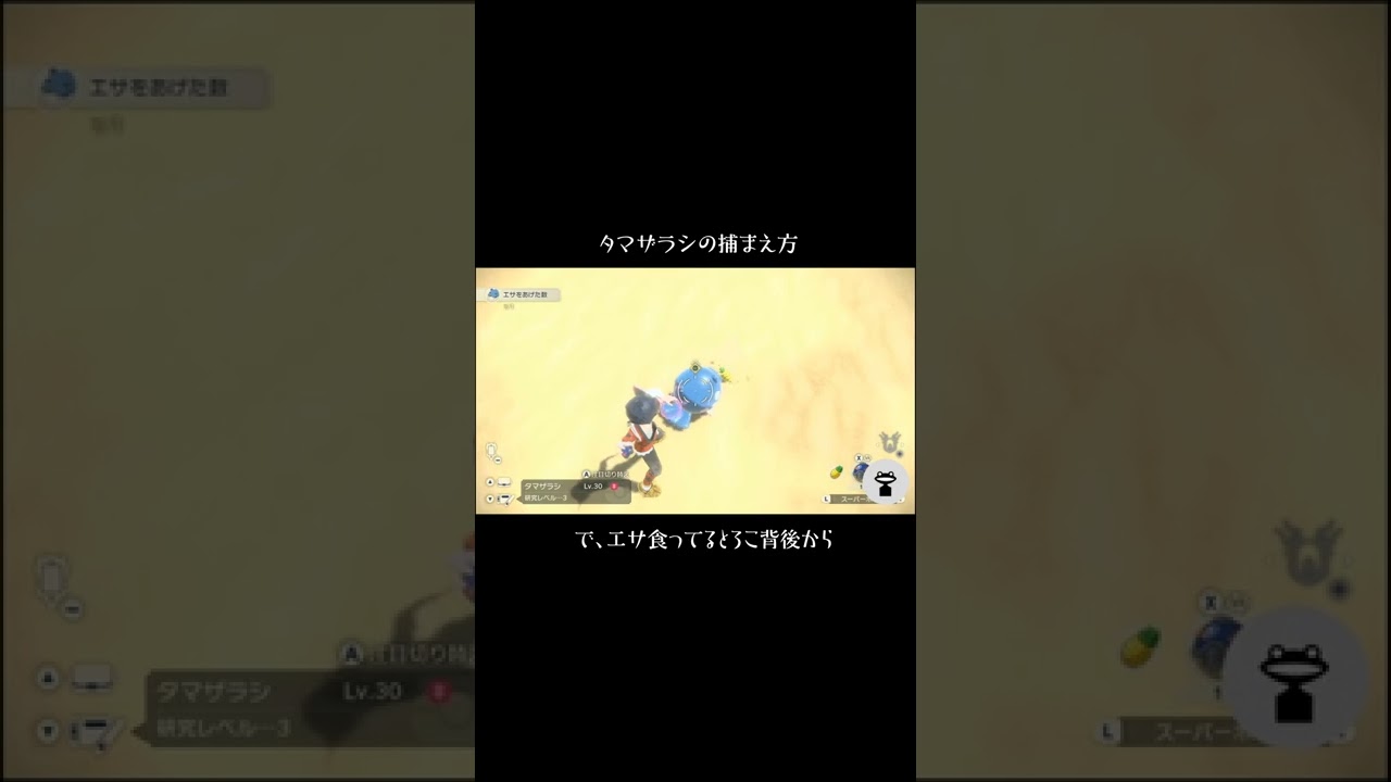 【ポケモン　アルセウス】タマザラシの捕まえ方 #Shorts