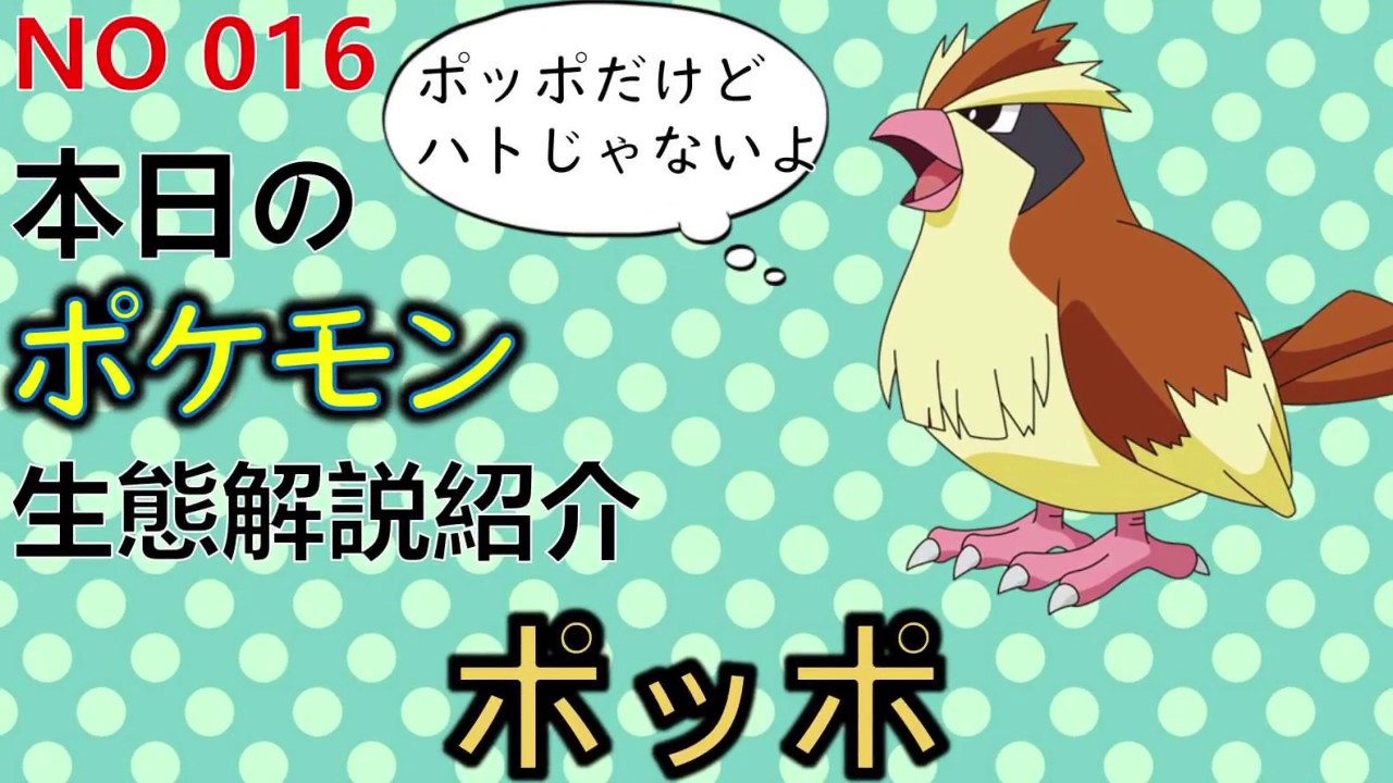 【考察】 「ポケモン解説」宇宙まで飛べ、台風すら巻き起こす！ ポッポの生態016「ゆっくり実況ポケモン図鑑」 平日18時30分毎日投稿中！ 【ポケモン図鑑詳細版】